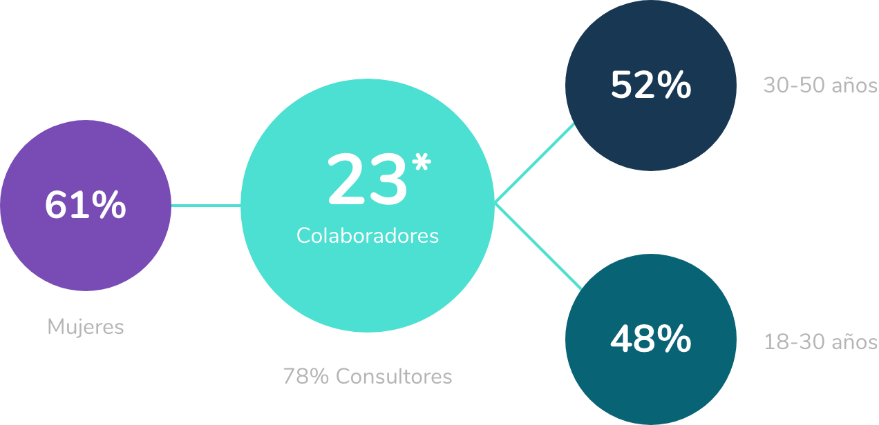 02-distribucion-empleados-sapyens