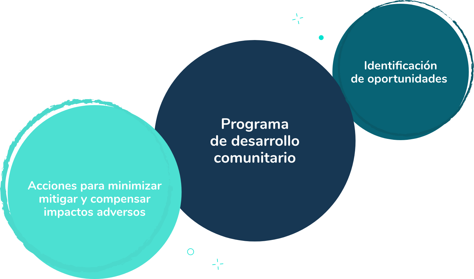 03-programa-crecimiento-sapyens