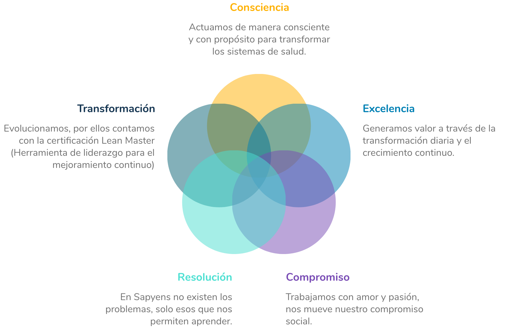 01-compromiso-dimension-gobierno-corporativo-principios-sapyens-2x