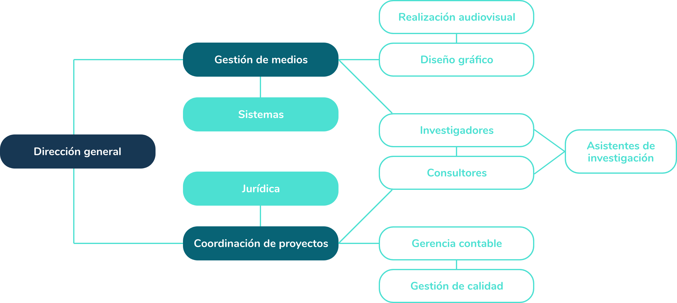 organigrama-sapyens-2022