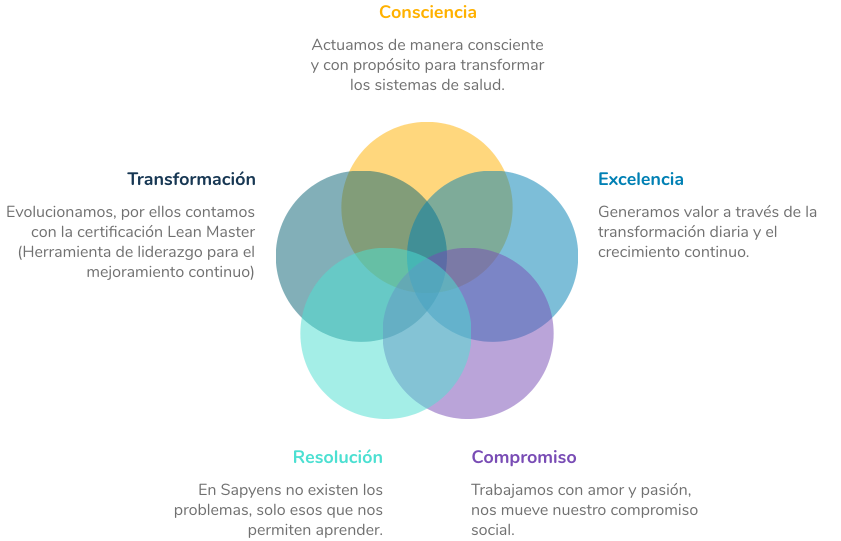 01-compromiso-dimension-gobierno-corporativo-principios-sapyens-2x